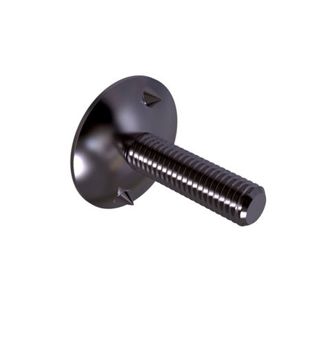 DIN 15237 Plate Screws