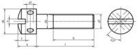 DIN 404 Capstan Slotted Screw