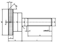 DIN465 Knurled Thumb Screws