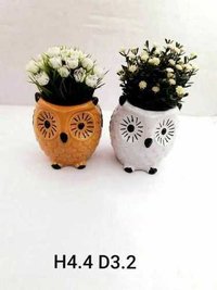Owl 008