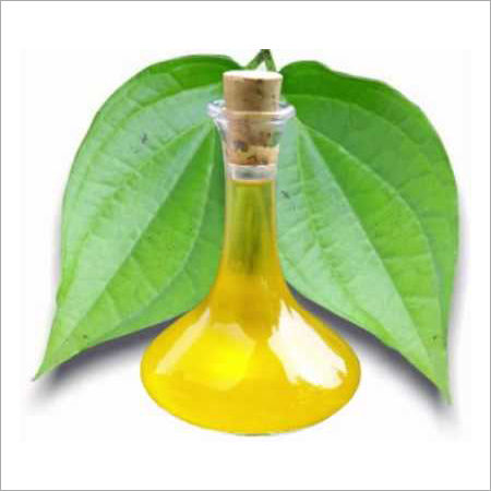 Betel Leaf Oil