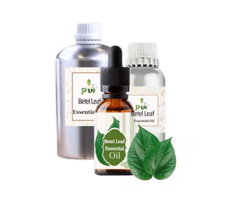 Betel Leaf Oil