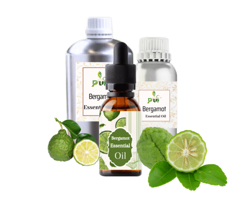 Bergamot Oil