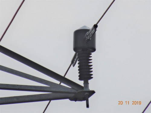 Wildlife Protection Bird Guard