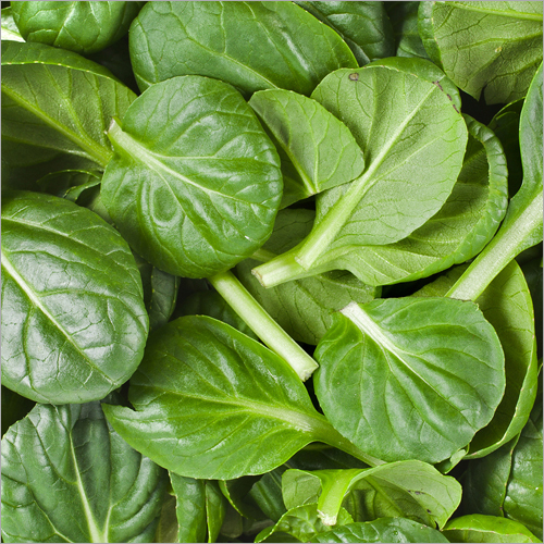 Green Spinach - Moisture 10%, Raw Processing Form , Round Shape, 3 Days Shelf Life, Fresh Aroma and Savory Flavor
