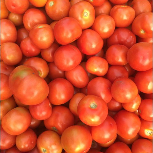 Fresh Tamato