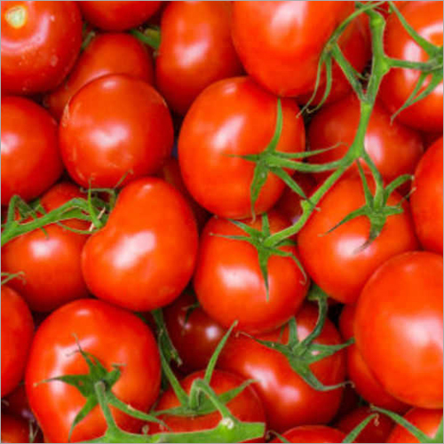 Red Tomato - Round Shape, 10% Moisture, Raw Processing | Rich Taste, Longer Shelf Life, Free From Chemicals, Versatile for Sauces & Soups