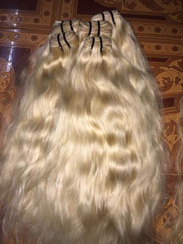 Blonde Hair Application: Profesional
