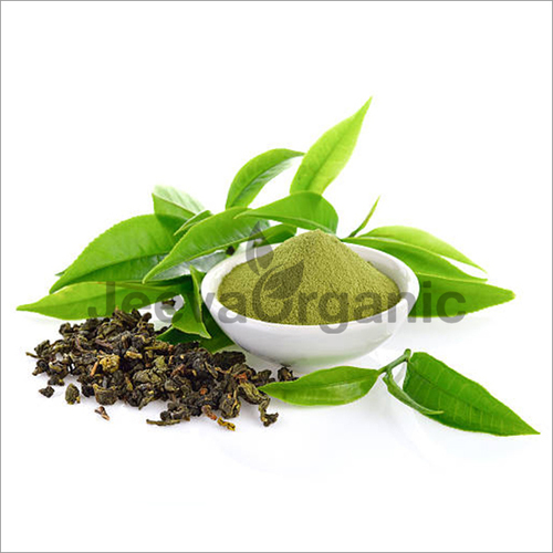 Green Tea Powder - Premium Organic Matcha Blend, High Antioxidant Properties for Optimal Wellness
