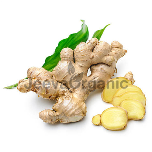 Ginger Extract By JEEVA ORGANIC PRIVATE LIMITED