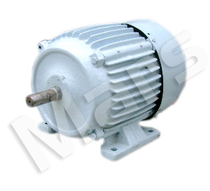 Squirrel cage induction motor