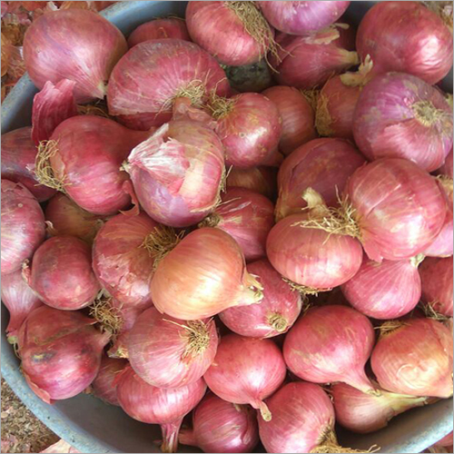 Fresh Red Onion - Raw, Shelf Life: 20 Days | High in Vitamin C, Potassium, and Beneficial Compounds, Premium Quality Packaging