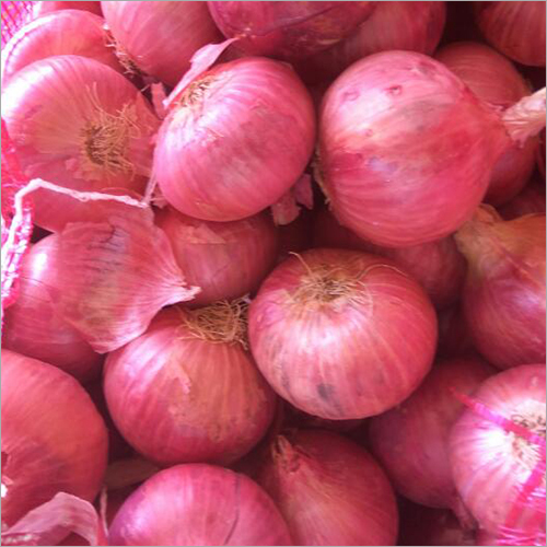 Fresh Onion - Raw, 20 Days Shelf Life | Common Cultivation from India