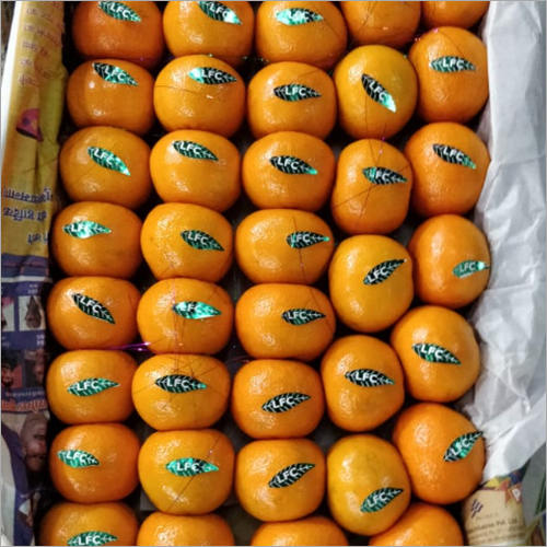 Fresh Orange