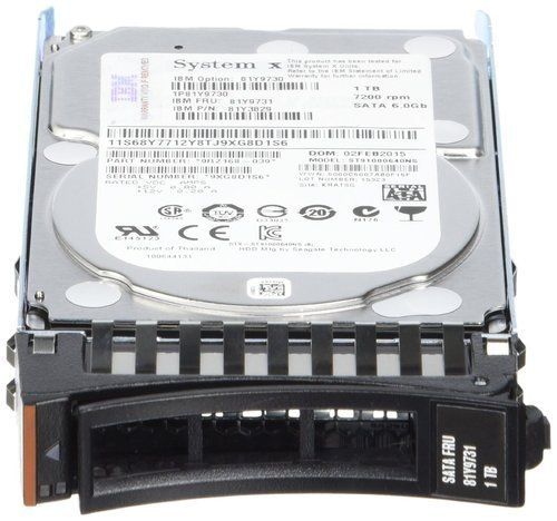 IBM 256 GB SERVER HARD DISK