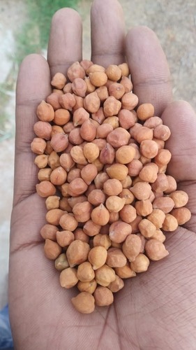 Chana Chana