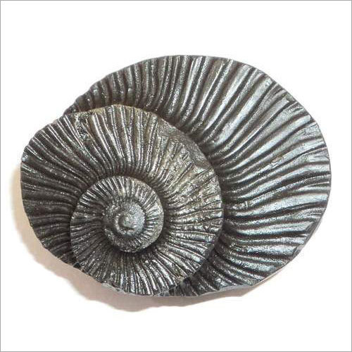 Durable Sudarshan Chakra Shaligram