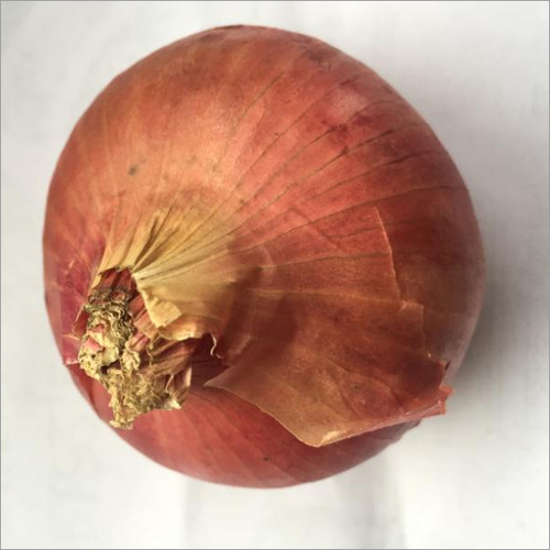 Red Onion - Moisture 2%, Shelf Life 6 Months | Raw, Rounded Shape, Various Packaging Sizes Available