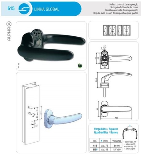 Mortise Handle For Doors