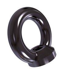 Din582 Lifting Eye Nut