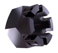DIN 935 Hexagon Castle Nut