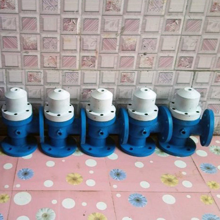 Cast Iron Poppet Valve