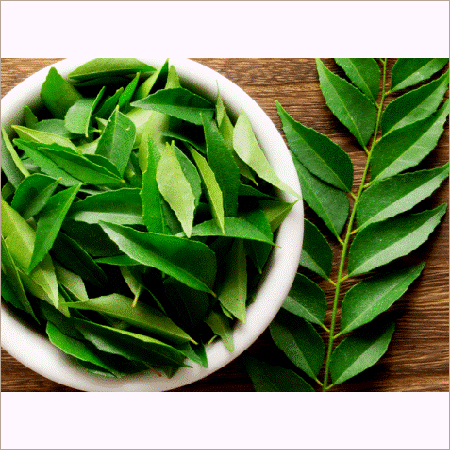 Curry Leaves By VAIBHAV EXIM INDIA
