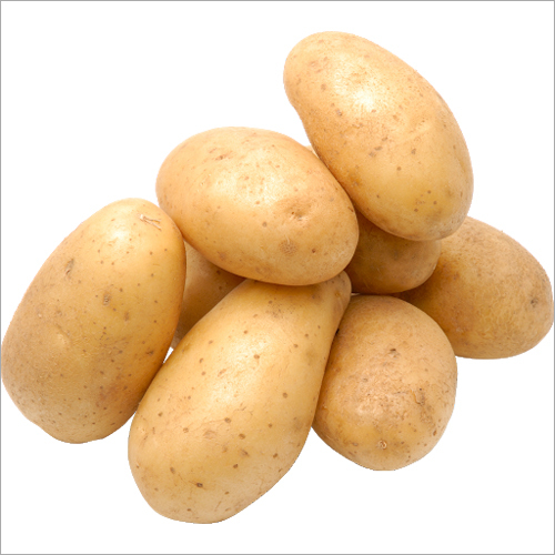 Potato By VAIBHAV EXIM INDIA