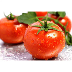 Fresh Tomato