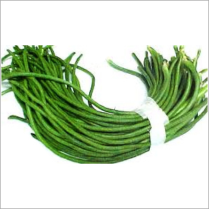 Yard Long Beans By VAIBHAV EXIM INDIA