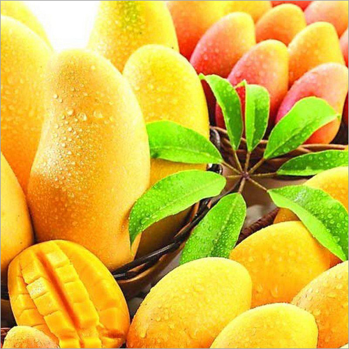 Mango By VAIBHAV EXIM INDIA