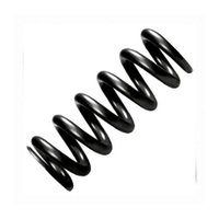 Industrial Compression Spring