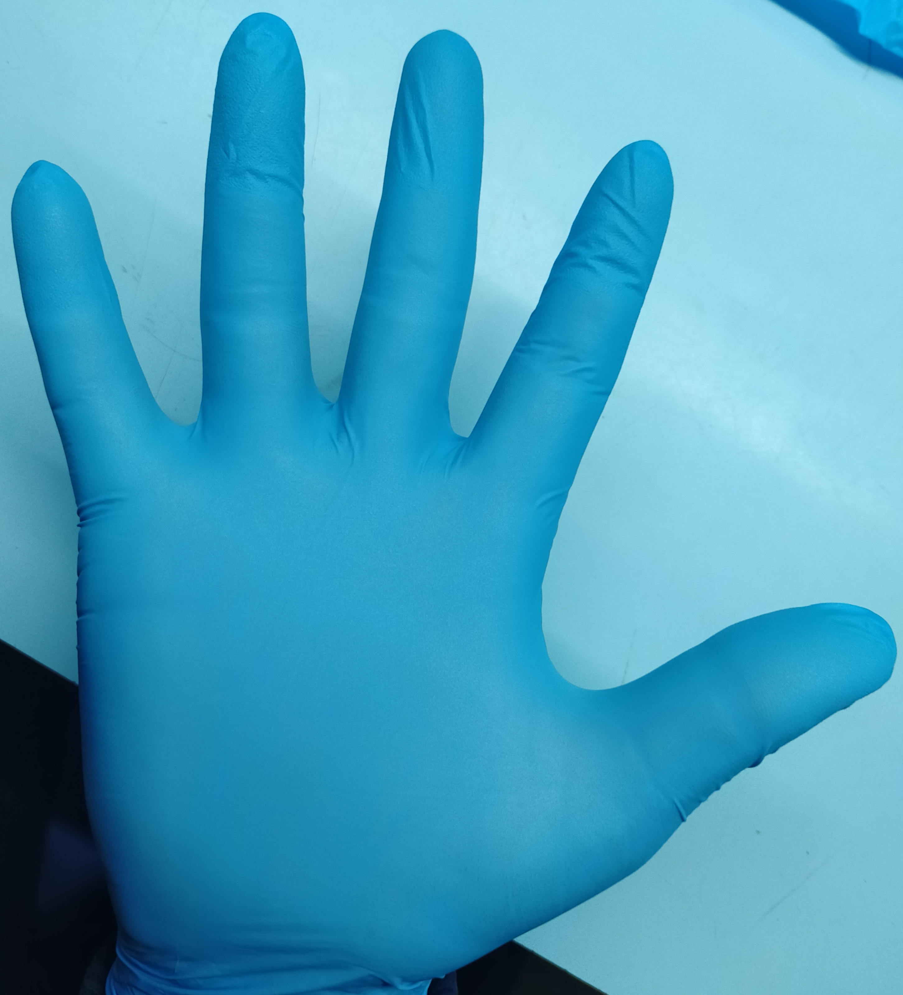 Powder Free Gloves - Blue