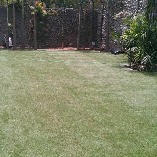 Artificial Grass