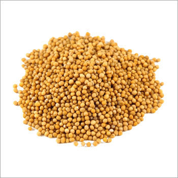 Mustard Seeds Grade: Spices