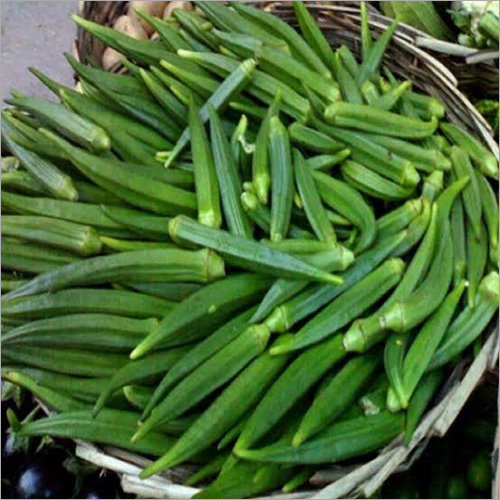 Lady Finger