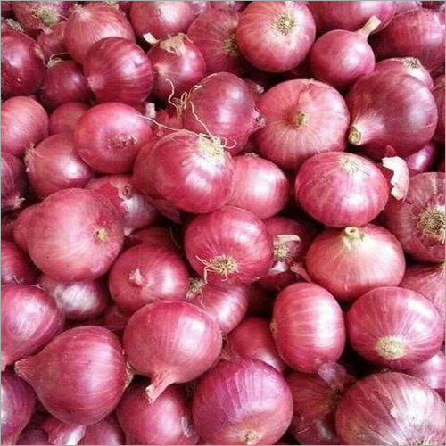 Fresh Onion