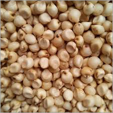 White Jowar