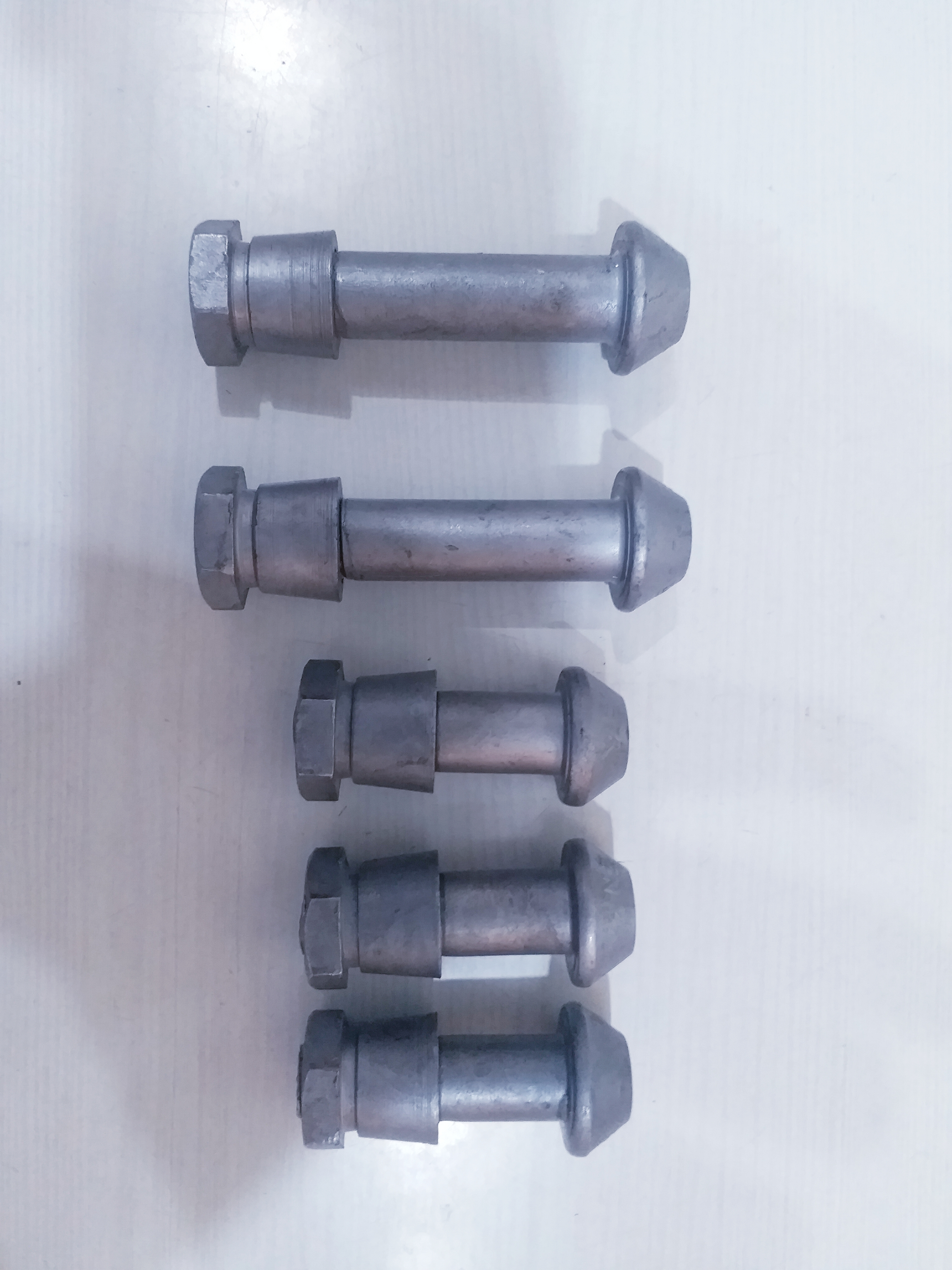 SS Anti Theft Bolts & Anti Theft Nuts
