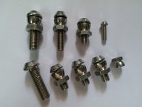SS Anti Theft Bolts & Anti Theft Nuts