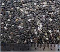 Machine Water Wash  high Polished Mix Natural River Small Pebbles stones for filter media gravels pebble wash flooring amd fountain application used