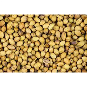 Coriander Seeds
