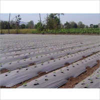 Agriculture Mulching Paper