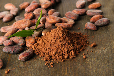 Cocoa Extract