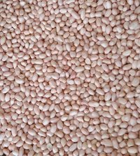 Indian Raw Peanuts