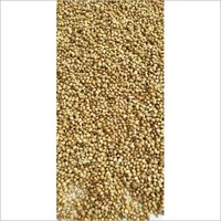 Whole Organic Coriander Seeds