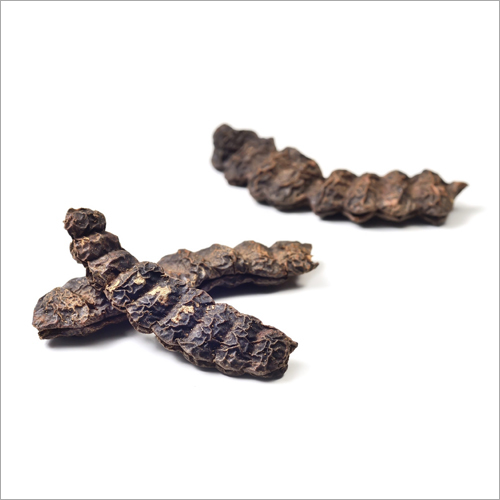 Dry Shikakai Grade: Medicine Grade