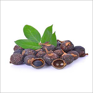 Dry Reetha - Medicine Grade, 12 Months Shelf Life - Promotes Weight Loss, Strengthens Hair, Enhances Complexion