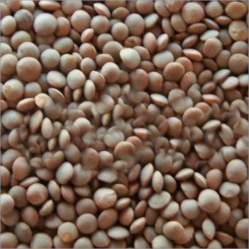 Organic Red Masoor Dal Moisture (%): 11.0%