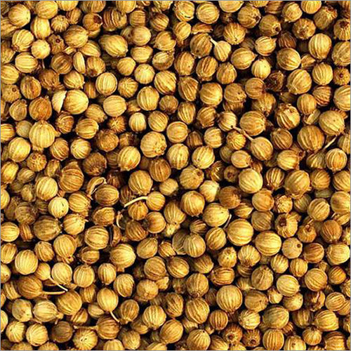 Agriculture Organic Coriander